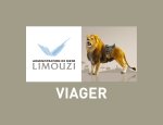 LIMOUZI 69006