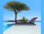 Photo FIDUCIMO IMMOBILIER