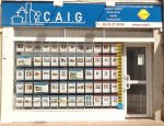CAIG 10000
