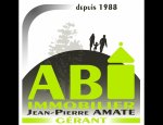 ABI GESTION 74 74160